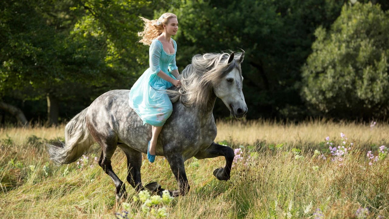 Cinderella — backdrops 5
