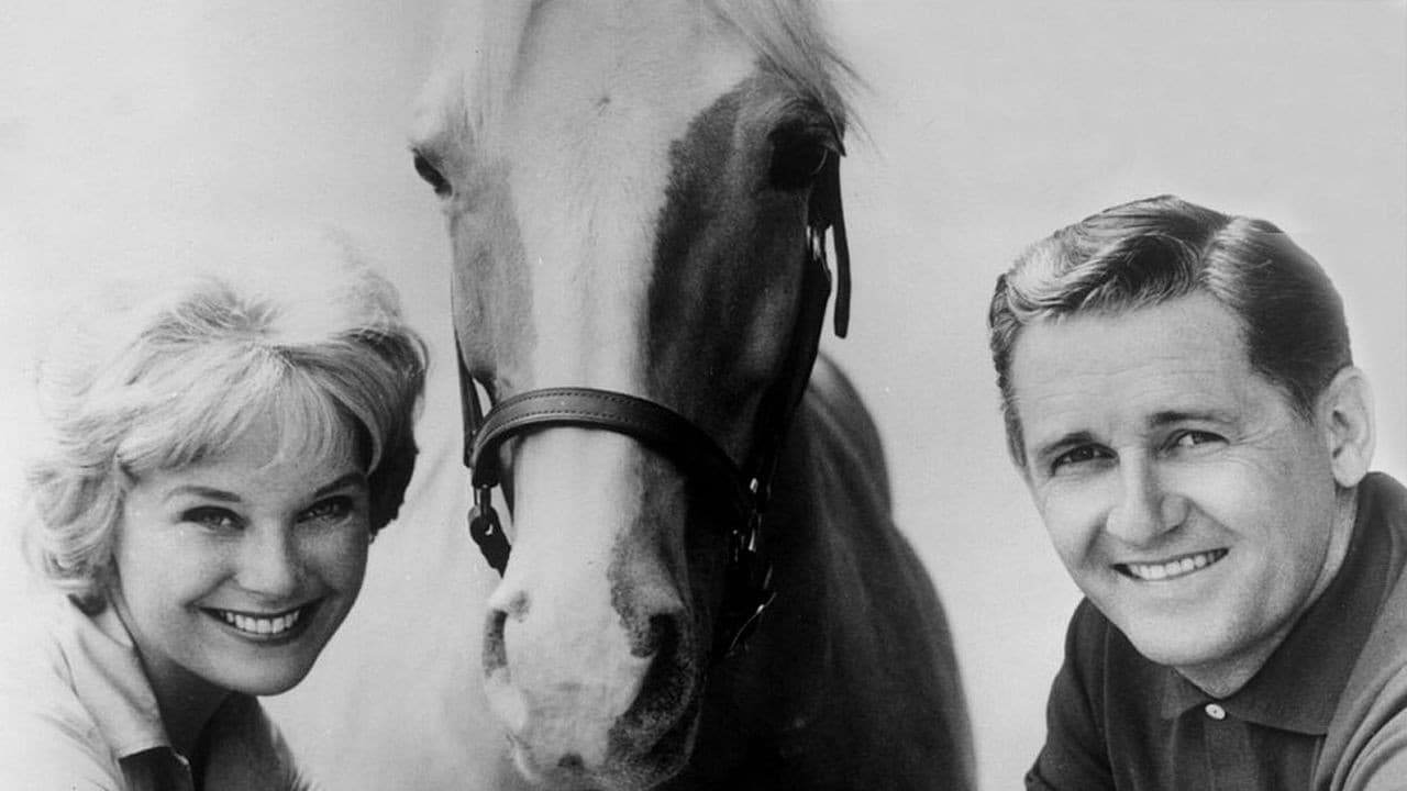 Mister Ed — backdrops 1