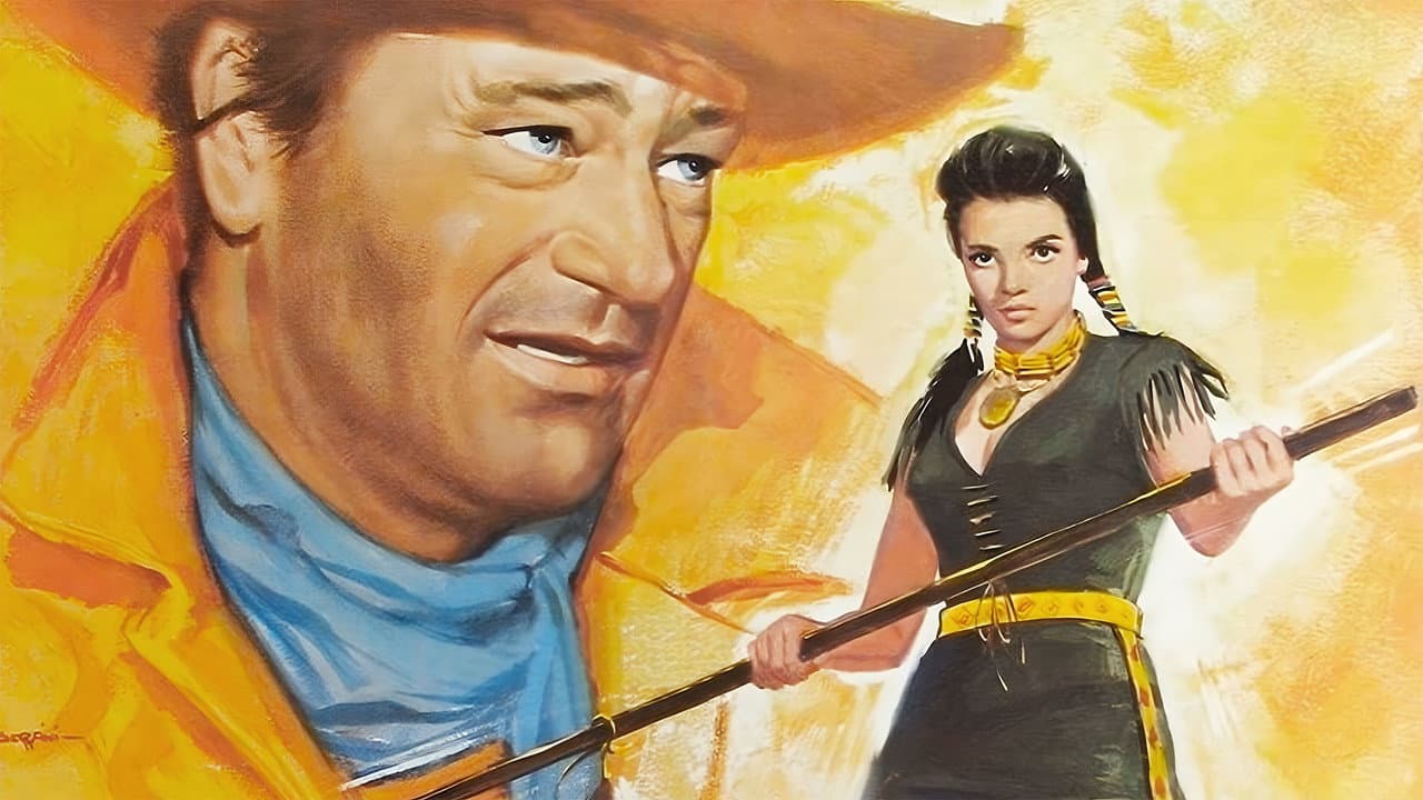 The Searchers — backdrops 5