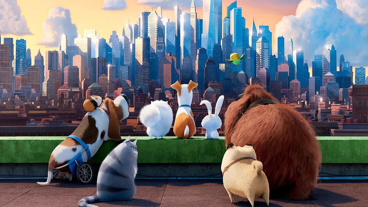 The Secret Life of Pets — backdrops 5