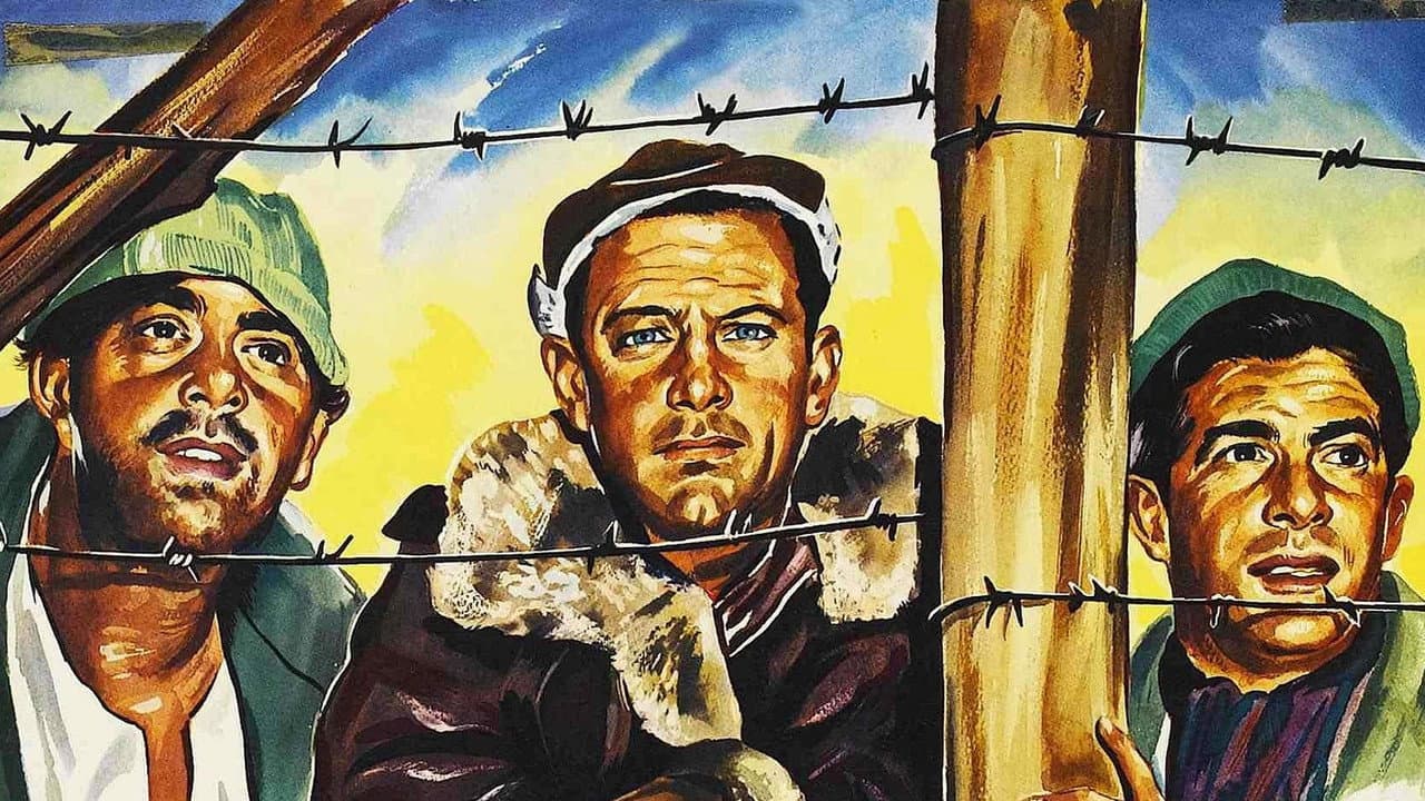 Stalag 17 — backdrops 4