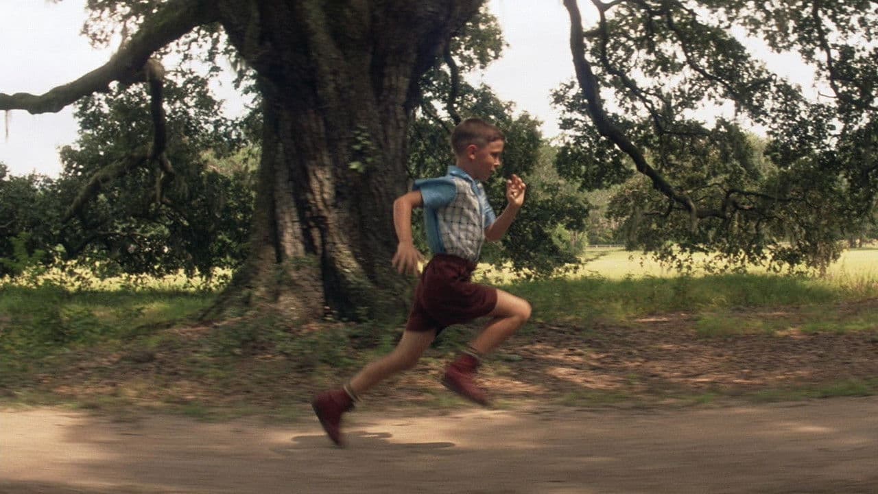 Forrest Gump — backdrops 7