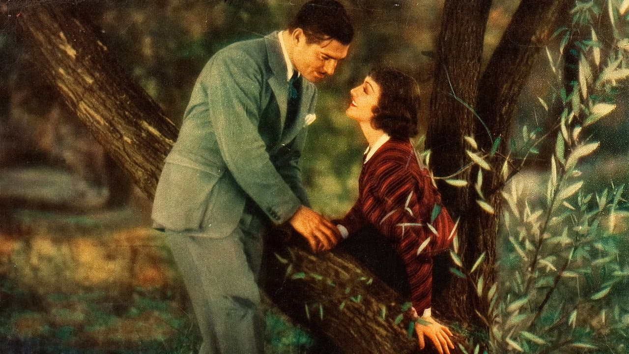 It Happened One Night — backdrops 8