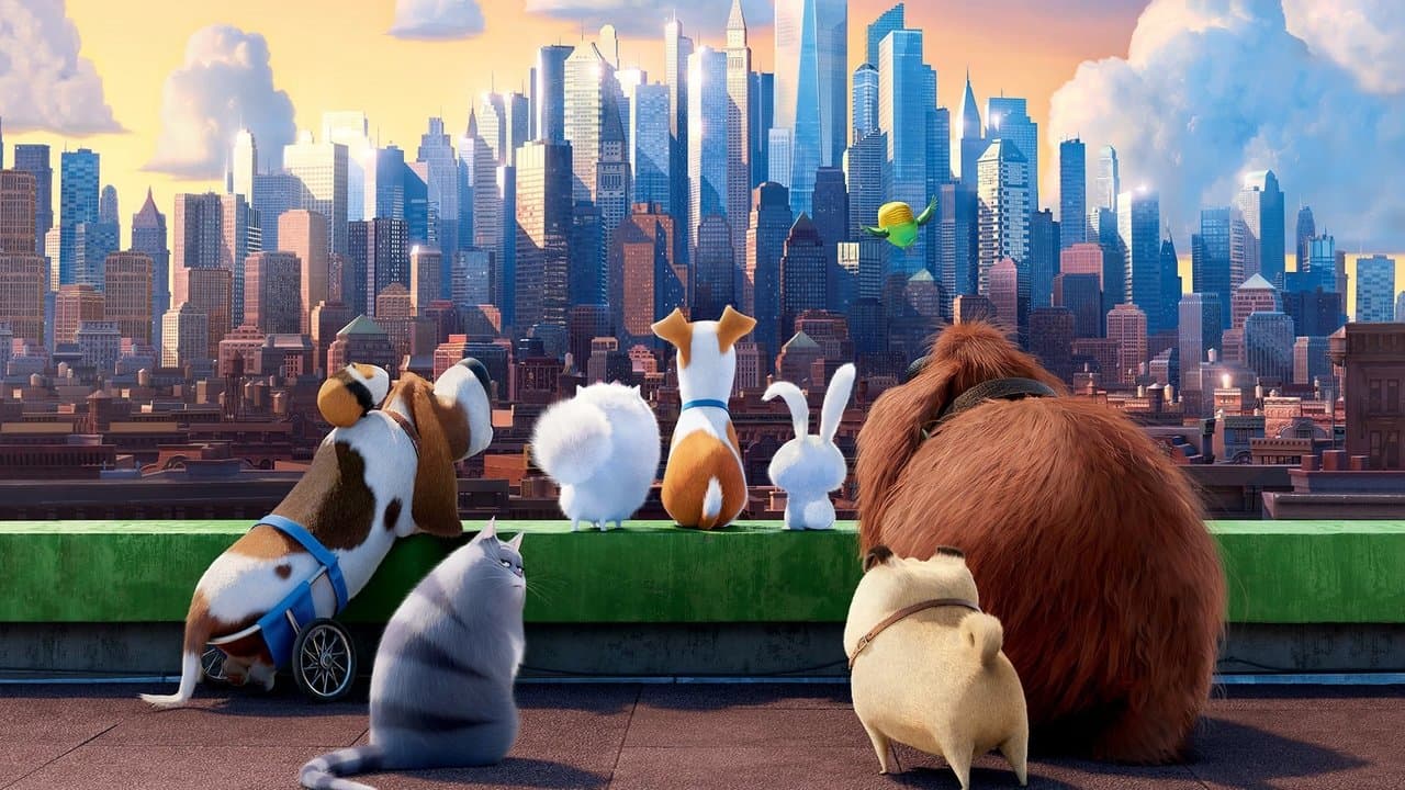 The Secret Life of Pets — backdrops 8