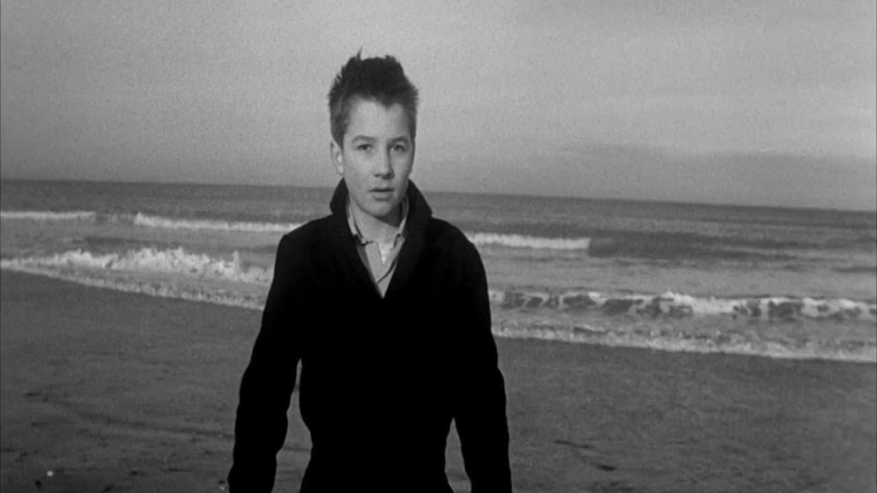 The 400 Blows — backdrops 4