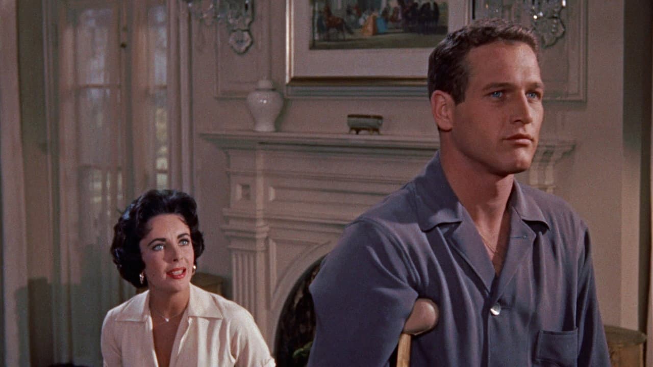 Cat on a Hot Tin Roof — backdrops 1