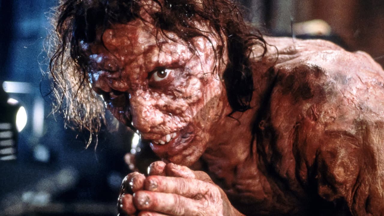 The Fly — backdrops 7