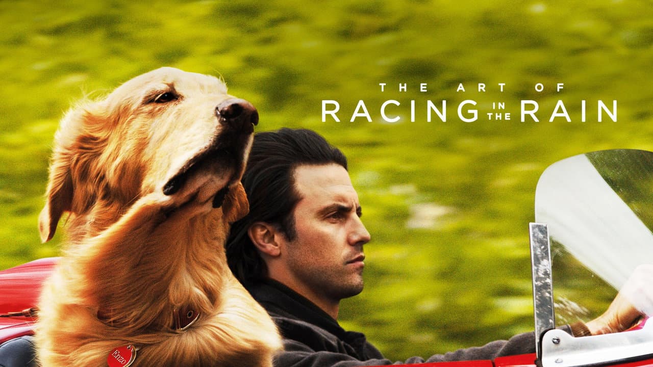 The Art of Racing in the Rain — backdrops with title 2