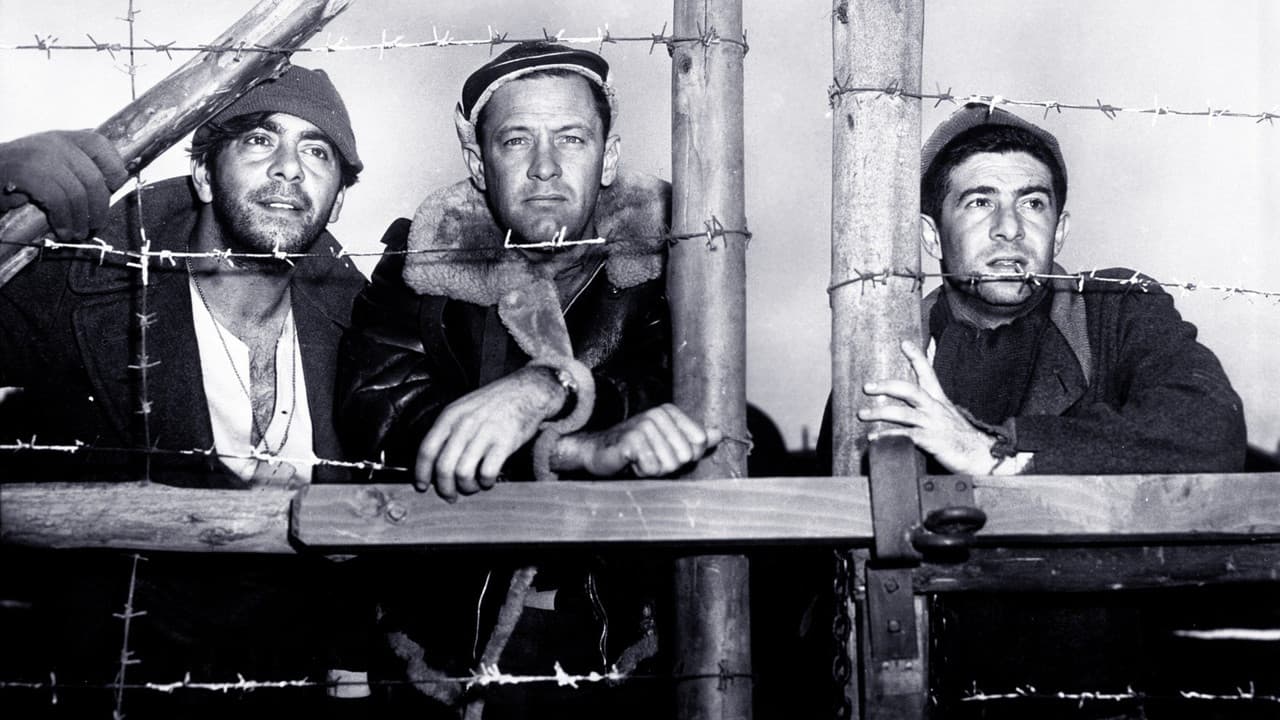 Stalag 17 — backdrops 6