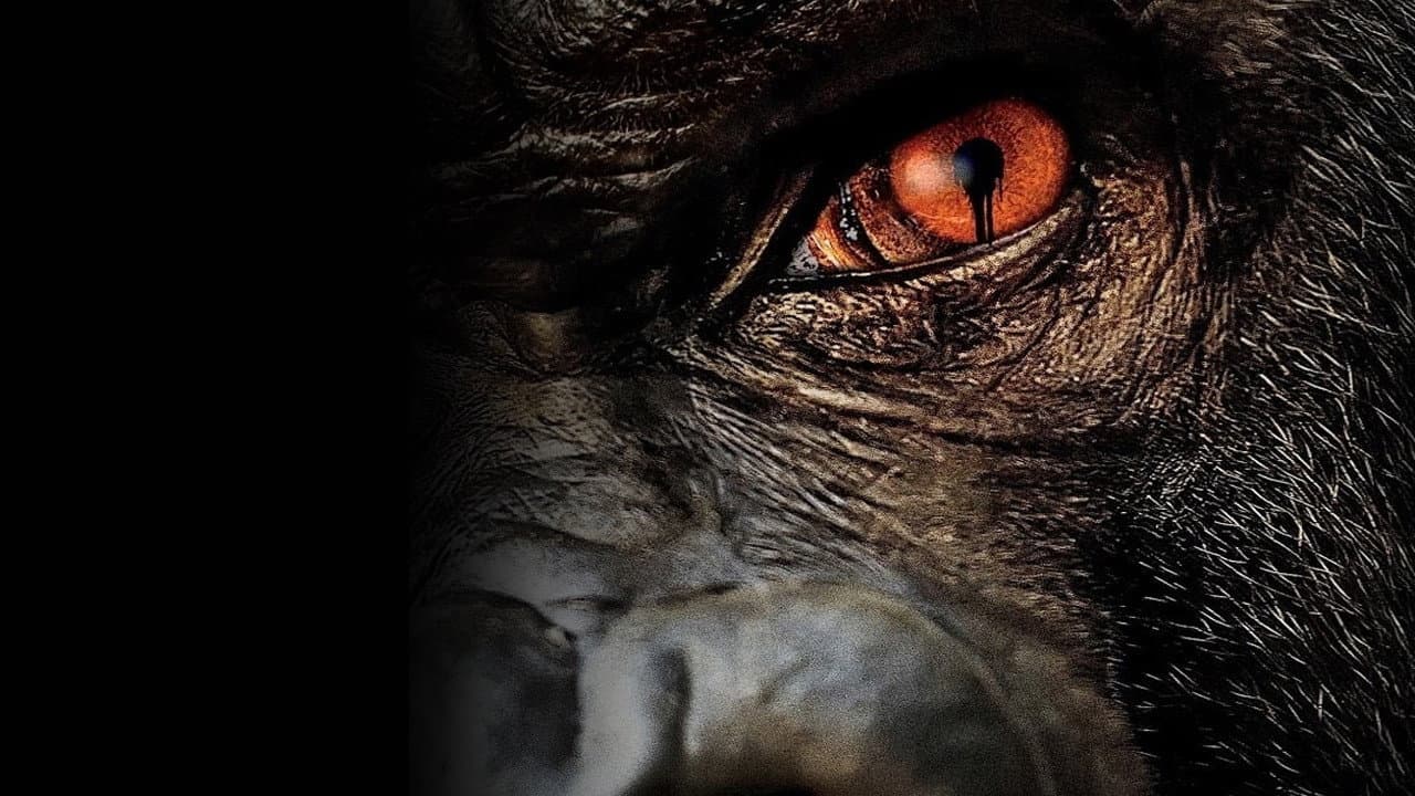 Zoo — backdrops 7