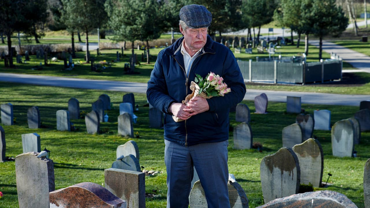 A Man Called Ove — backdrops 8