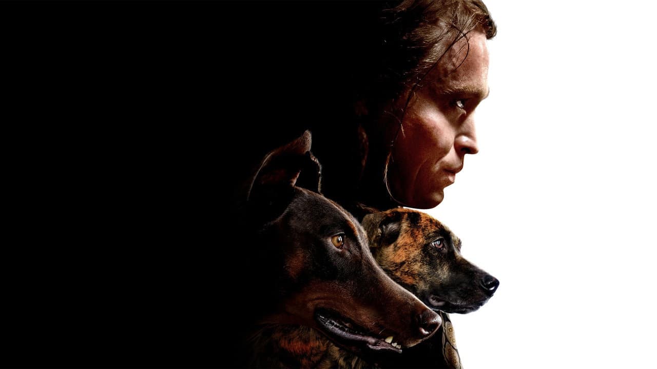 Dogman — backdrops 2