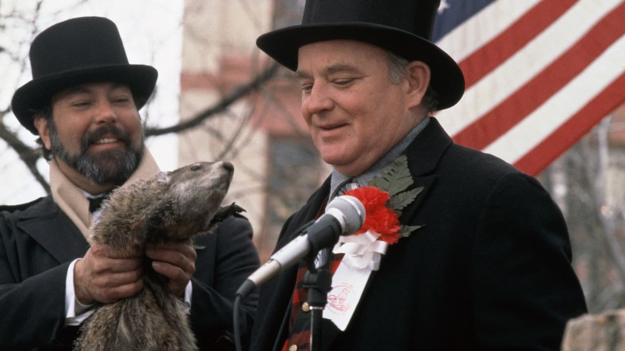 Groundhog Day — backdrops 6