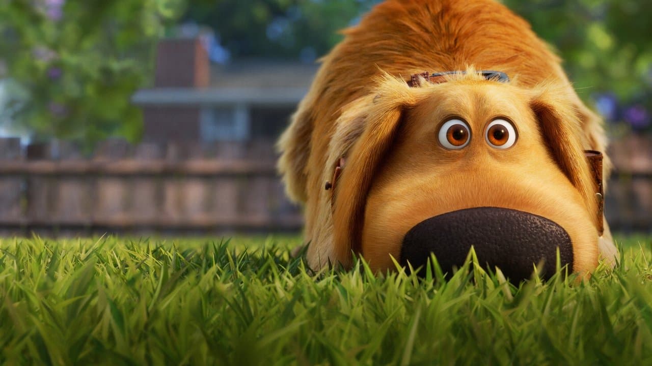 Dug Days — backdrops 1