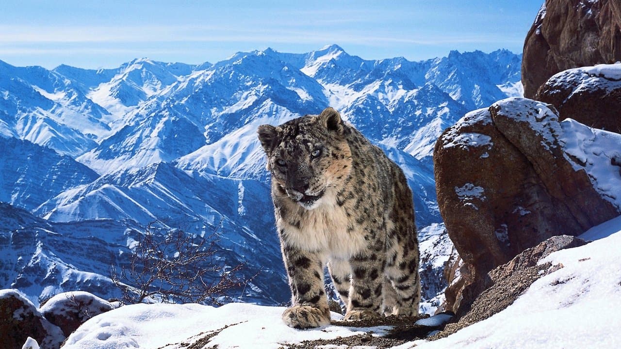 Planet Earth II — backdrops 2