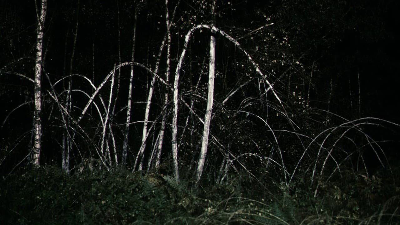 Antichrist — backdrops 8