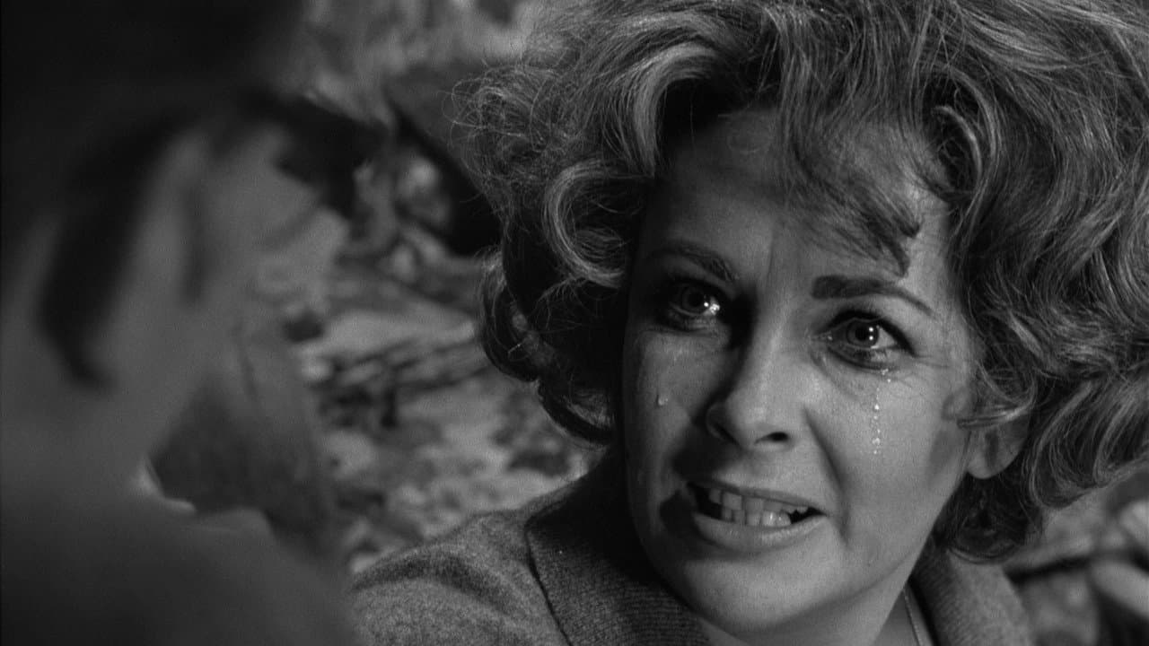 Who's Afraid of Virginia Woolf? — backdrops 6