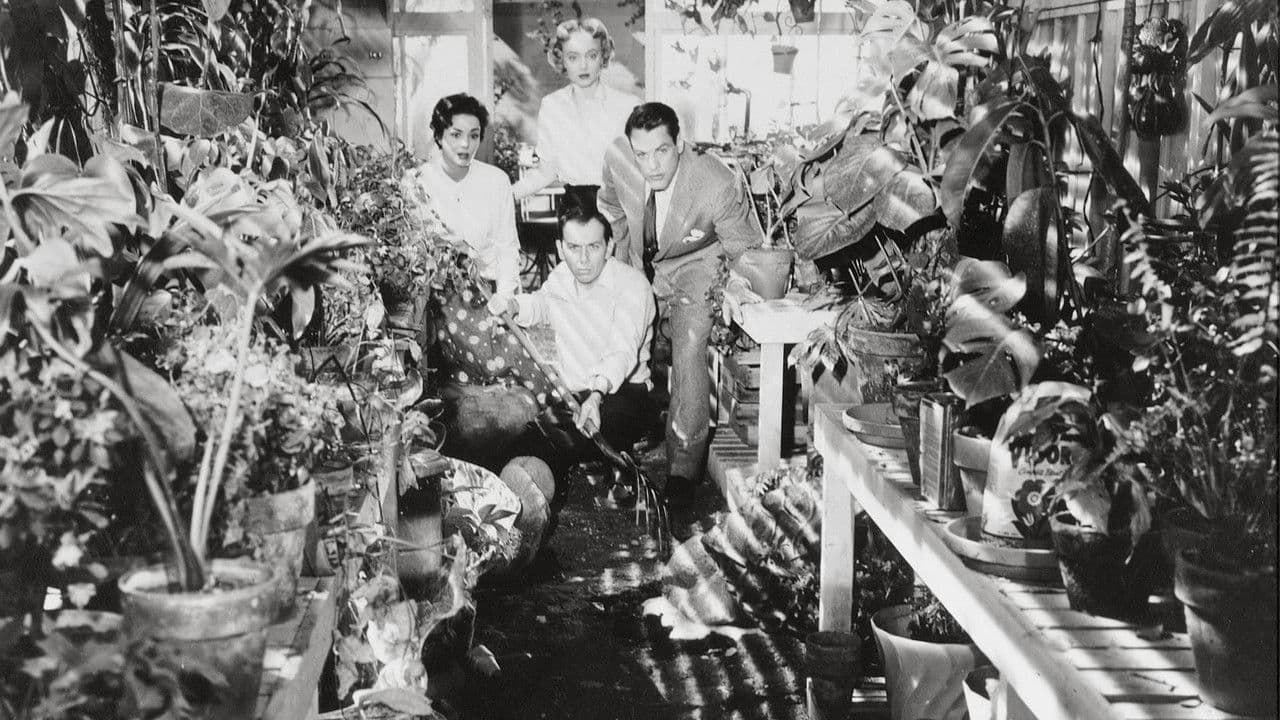 Invasion of the Body Snatchers — backdrops 1
