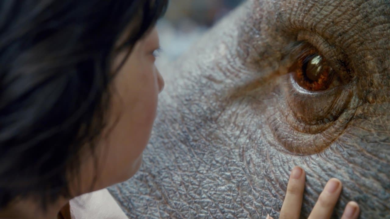 Okja — backdrops 2