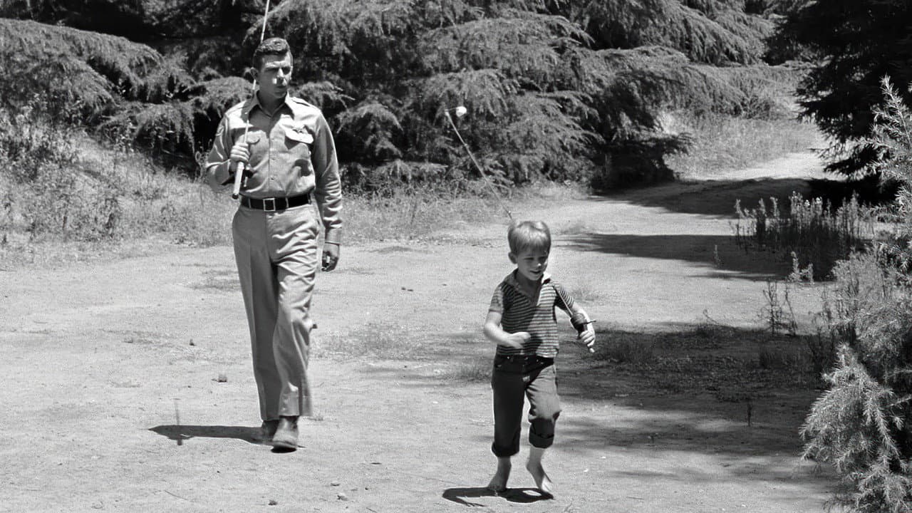 The Andy Griffith Show — backdrops 2