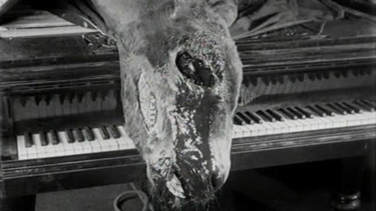 Un Chien Andalou — backdrops 7