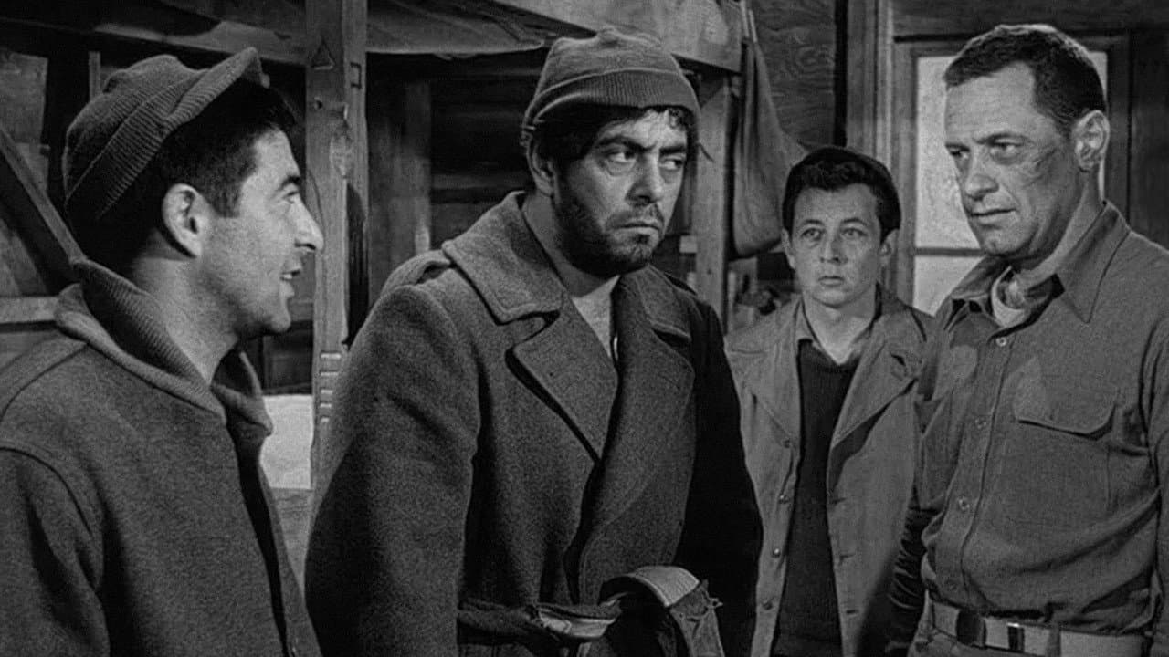 Stalag 17 — backdrops 1