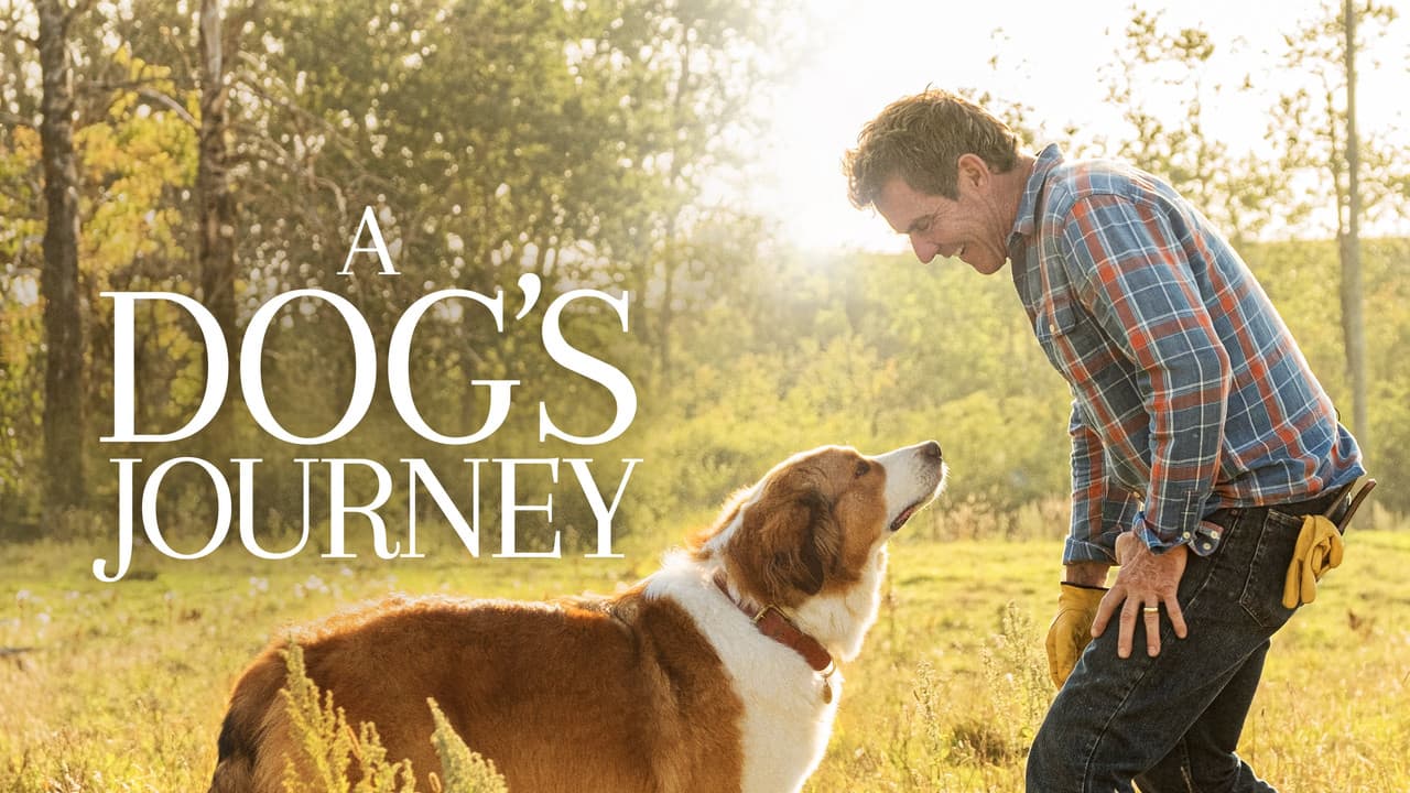A Dog's Journey — backdrops with title 1