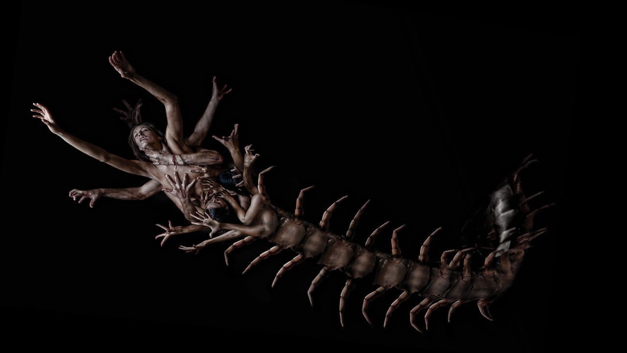 The Human Centipede 2 (Full Sequence) — backdrops 4