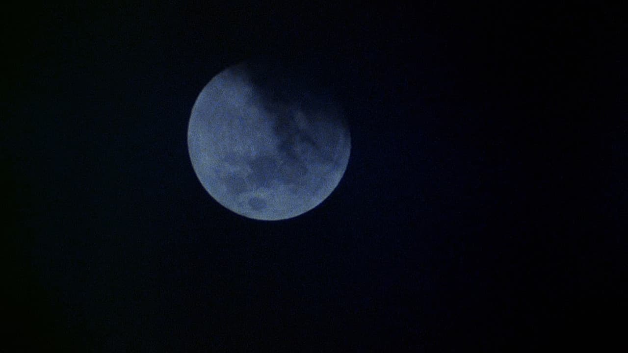 An American Werewolf in London — backdrops 3
