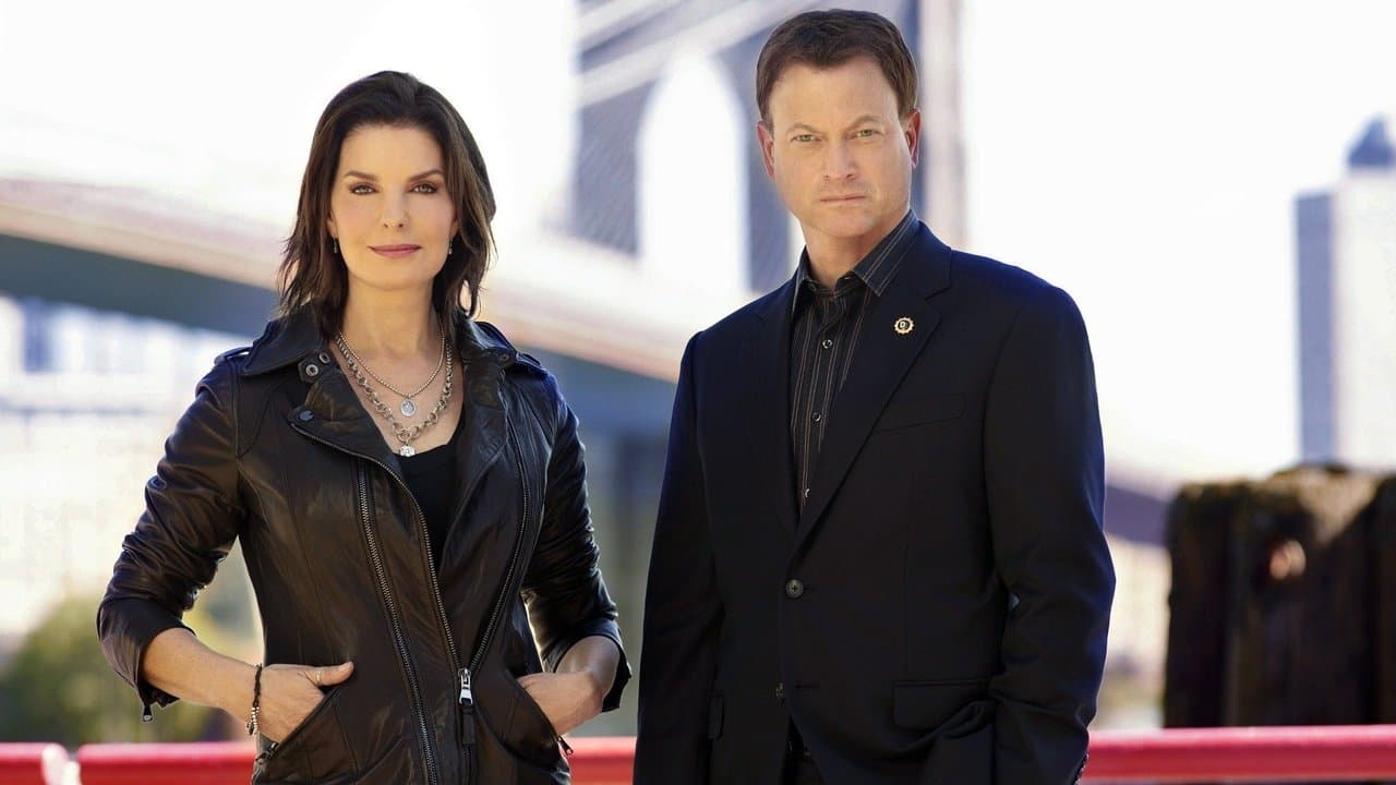 CSI: NY — backdrops 4
