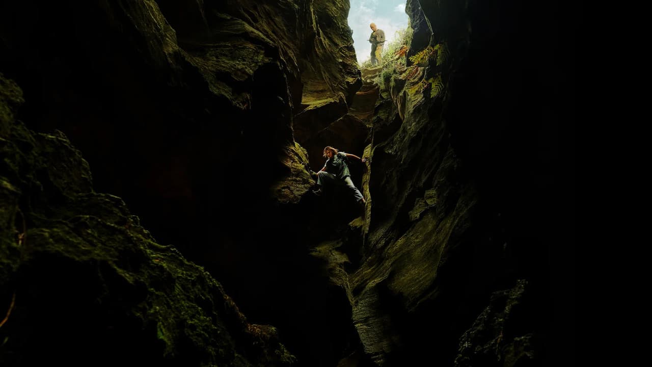 Apex — backdrops 3