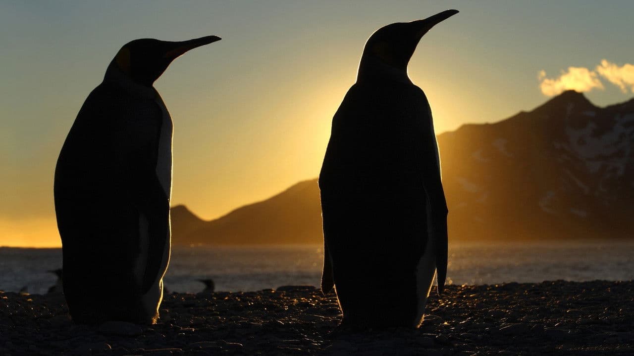 Frozen Planet — backdrops 3