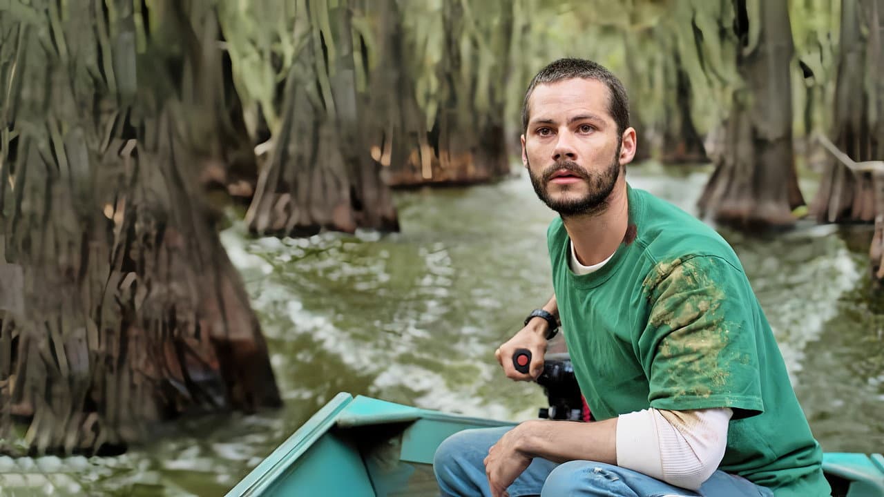 Caddo Lake — backdrops 3