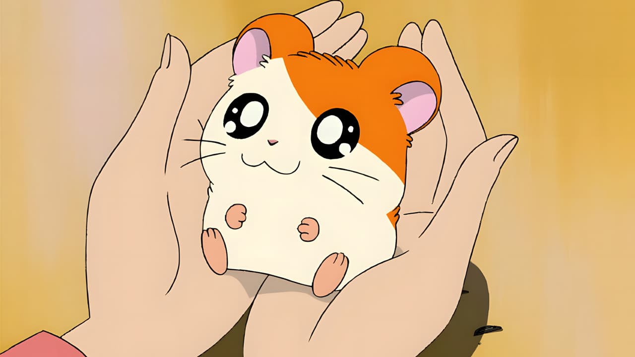 Hamtaro — backdrops 1