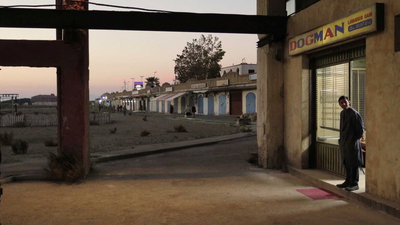 Dogman — backdrops 2