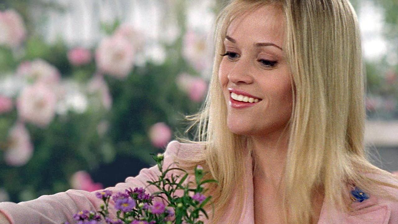 Legally Blonde 2: Red, White & Blonde — backdrops 6