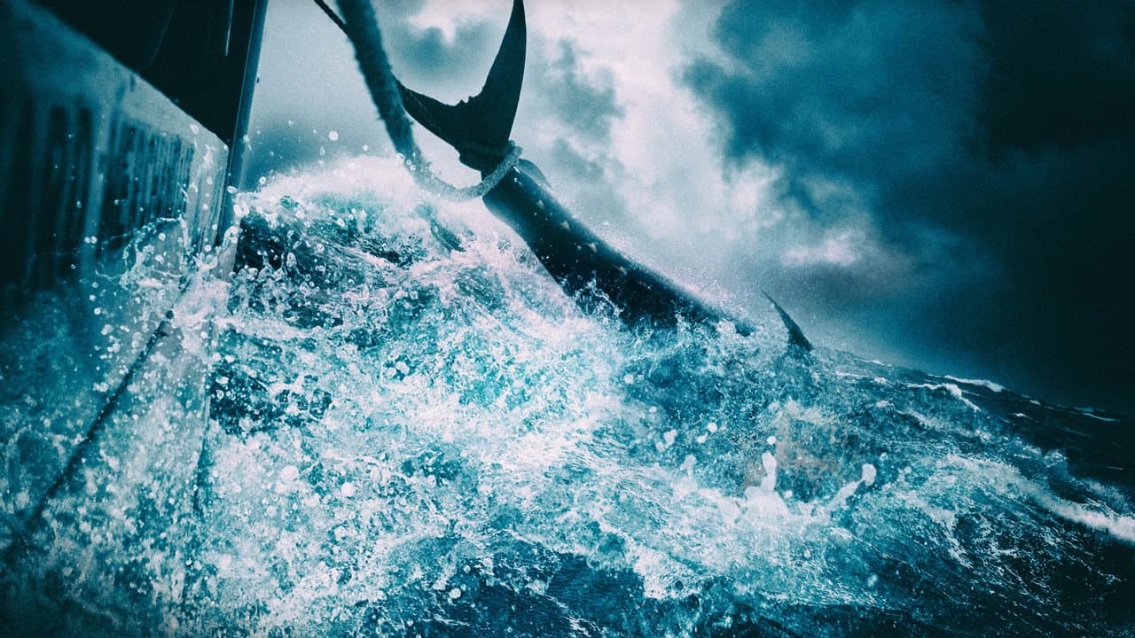 Wicked Tuna — backdrops 3
