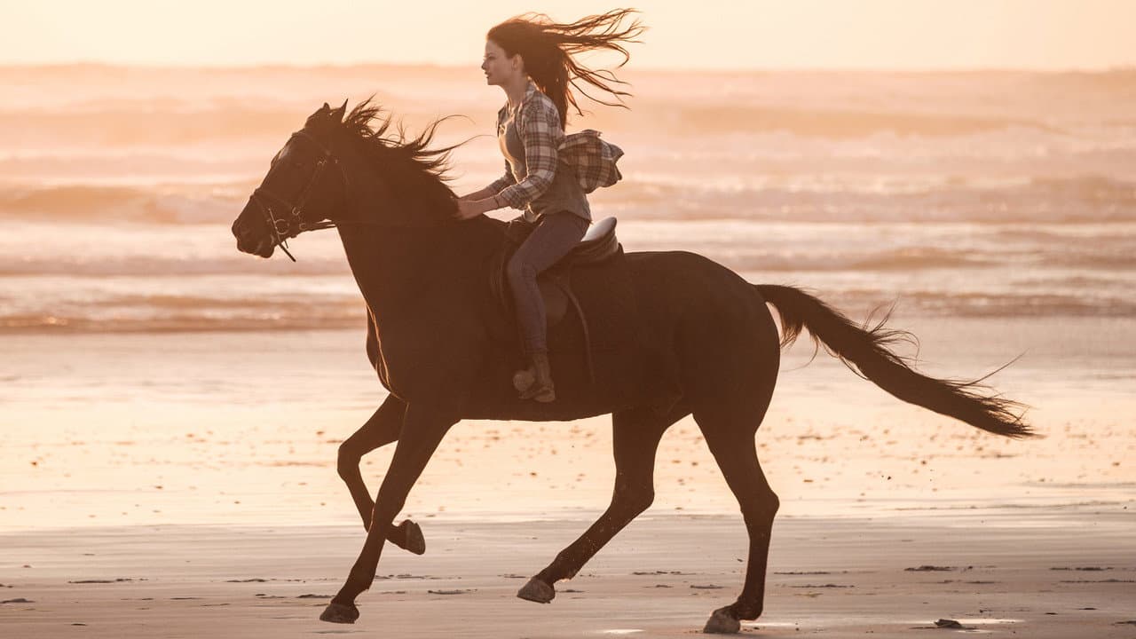 Black Beauty — backdrops 5