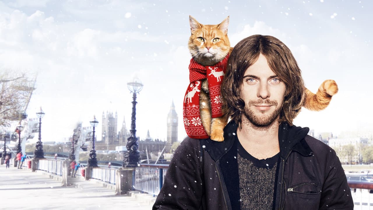 A Street Cat Named Bob — backdrops 6