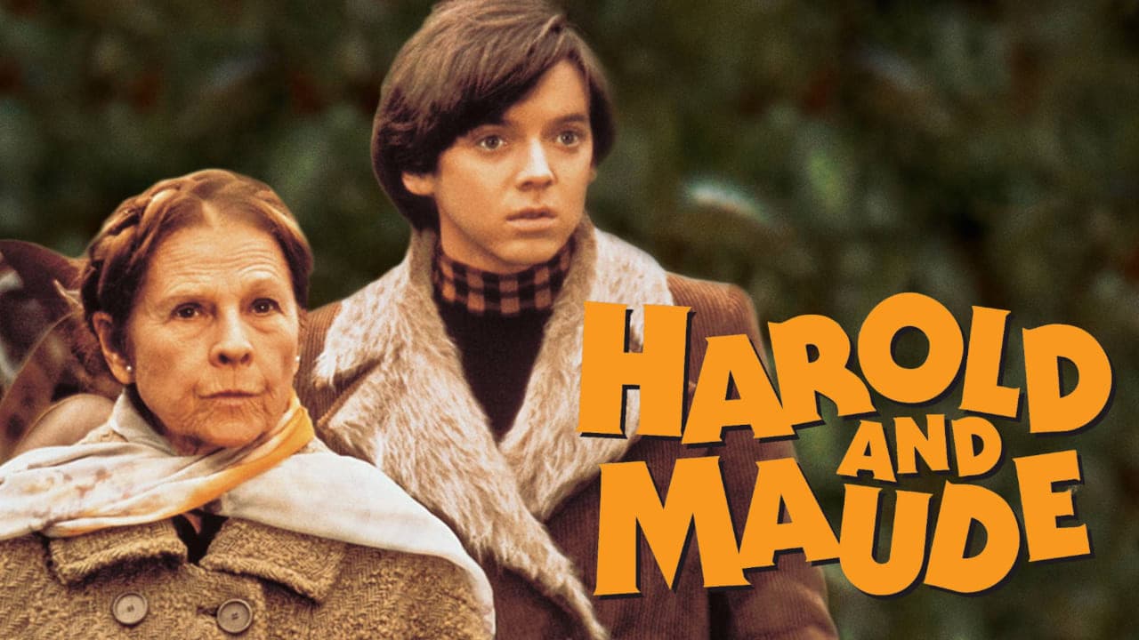 Harold and Maude — backdrops with title 3