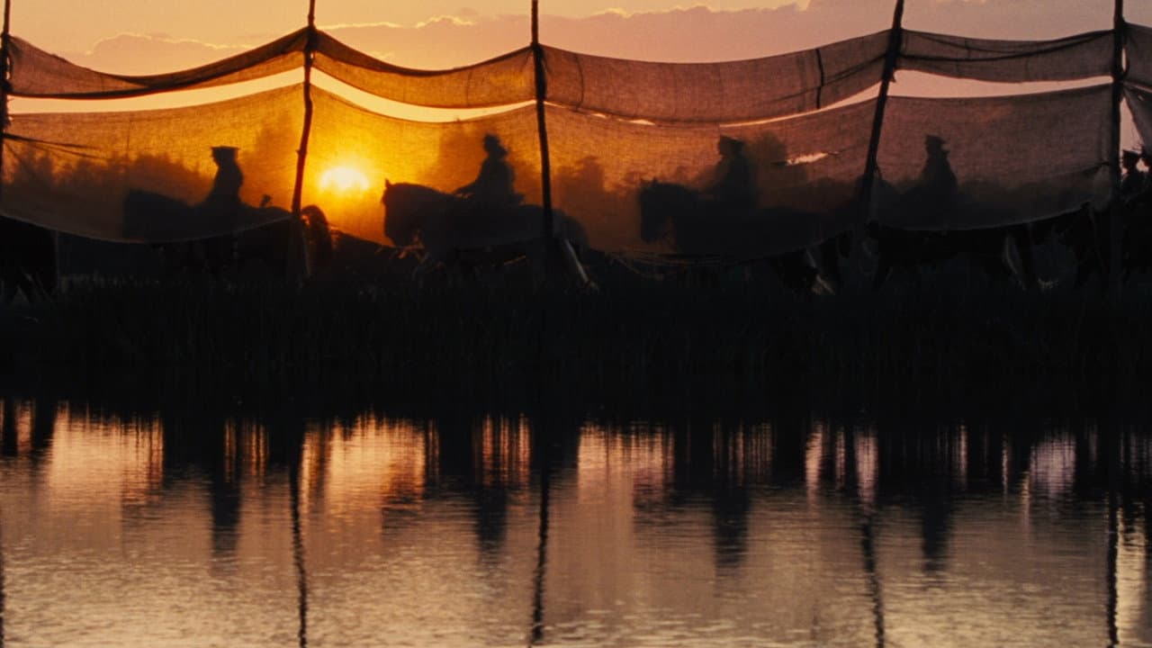 War Horse — backdrops 4