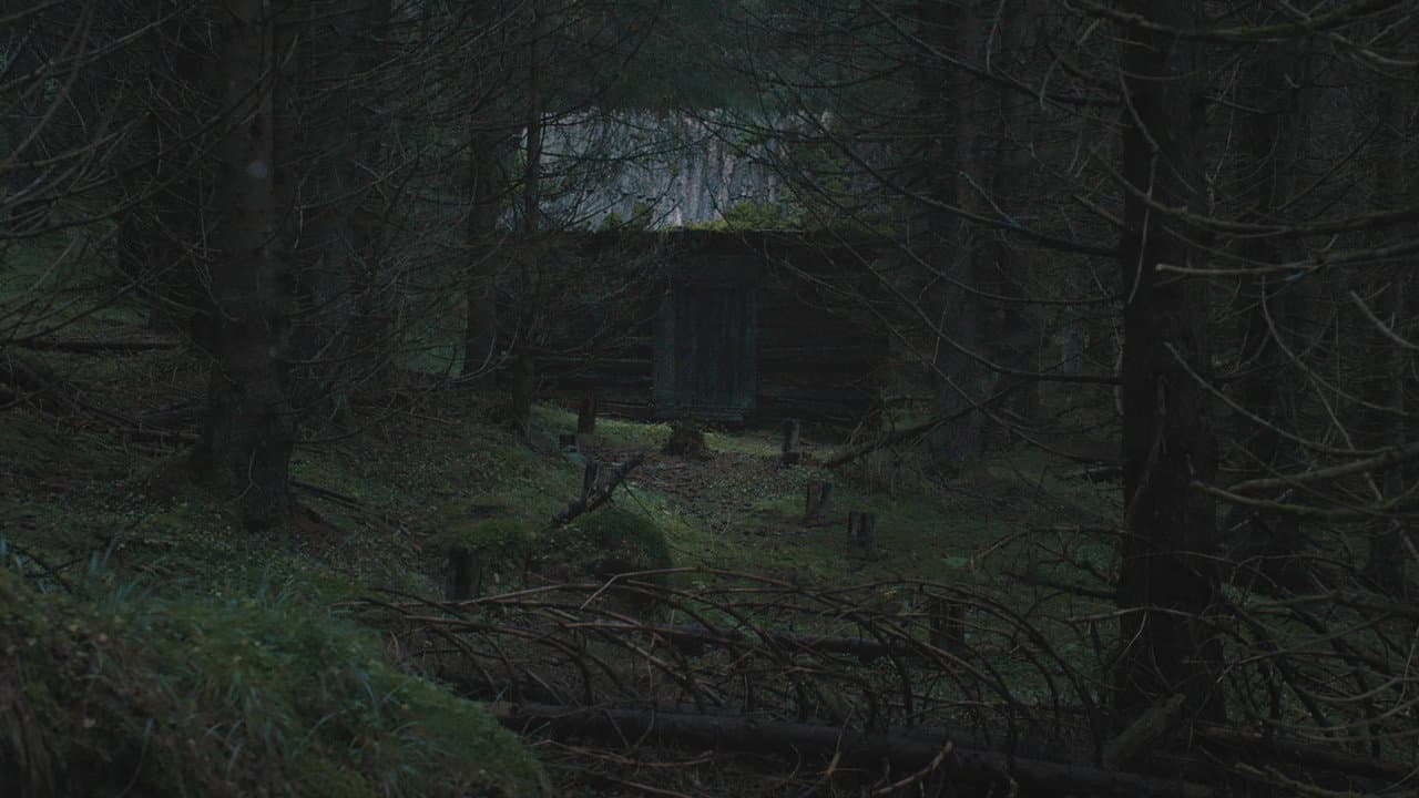 The Ritual — backdrops 2