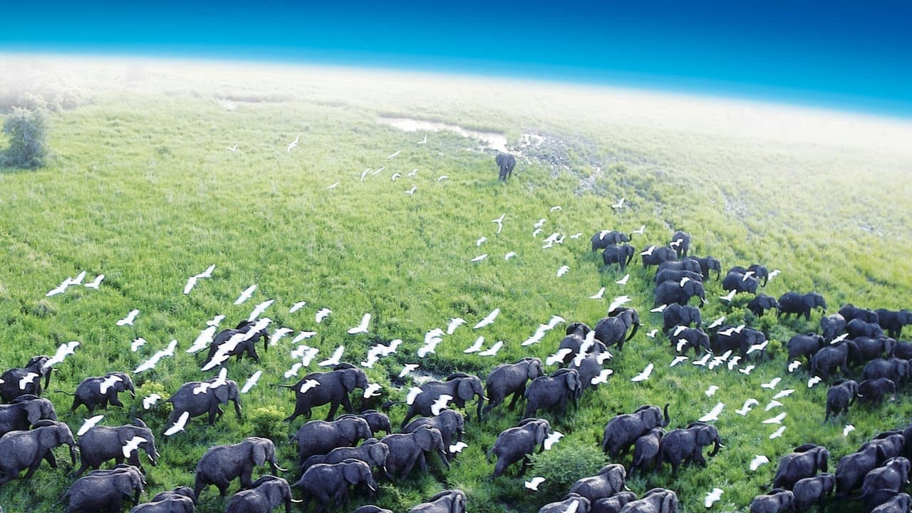 Planet Earth — backdrops 3