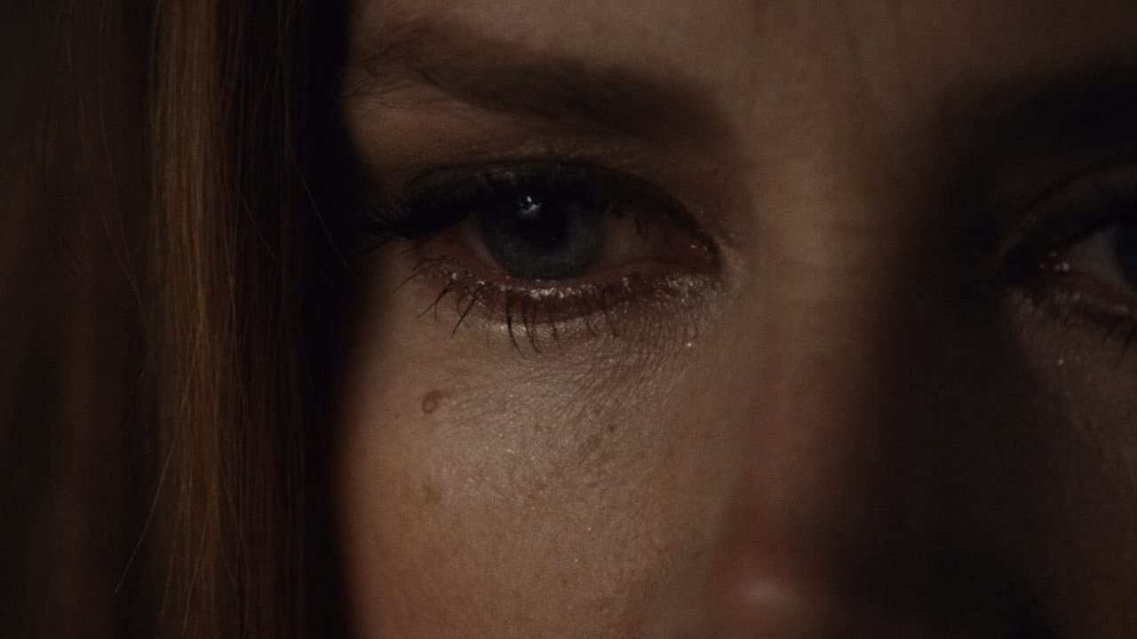Nocturnal Animals — backdrops 3