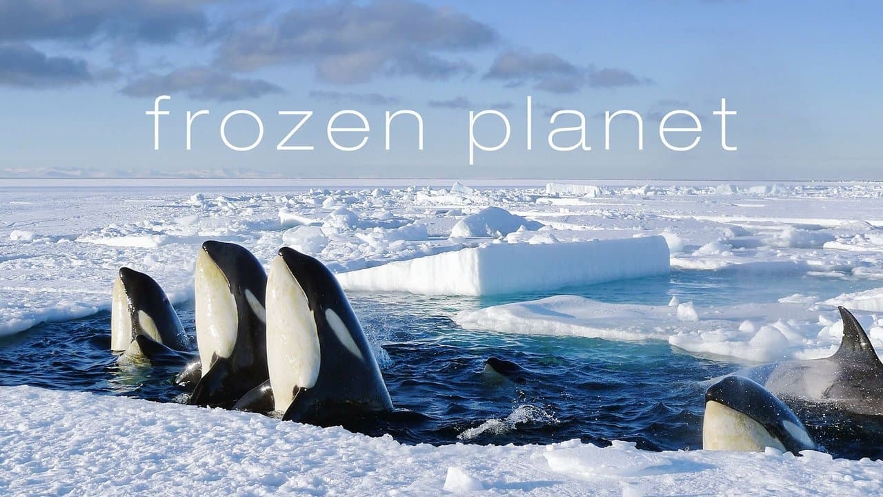 Frozen Planet — backdrops with title 1