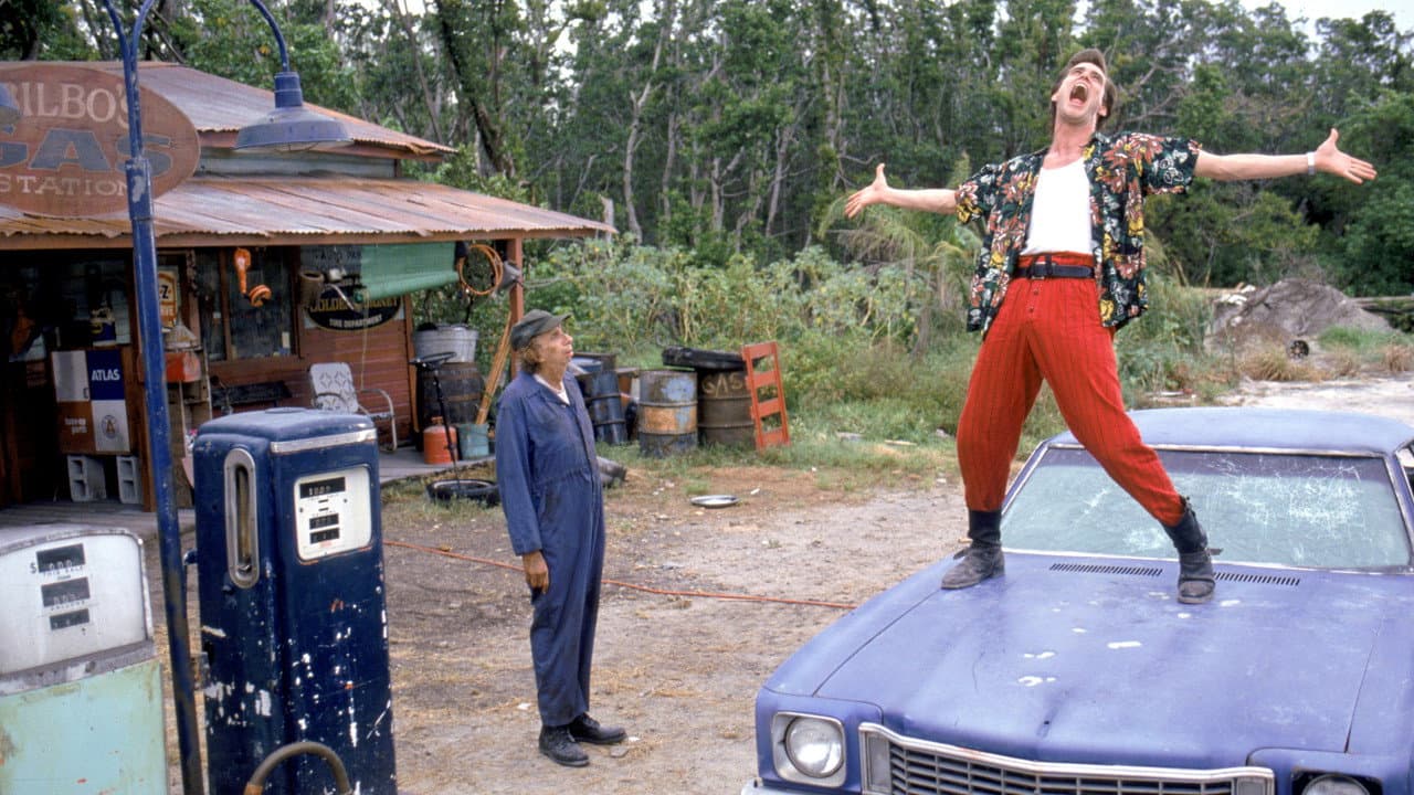 Ace Ventura: Pet Detective — backdrops 3