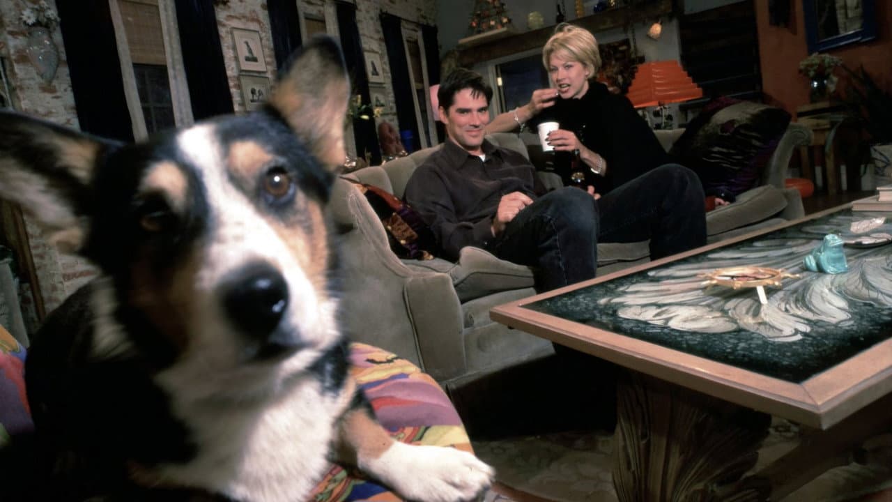 Dharma & Greg — backdrops 7