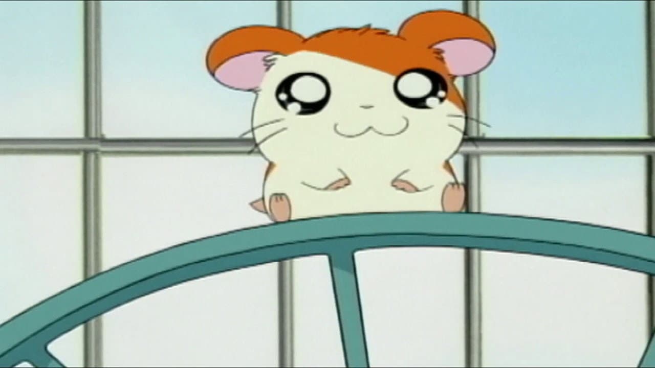 Hamtaro — backdrops 2