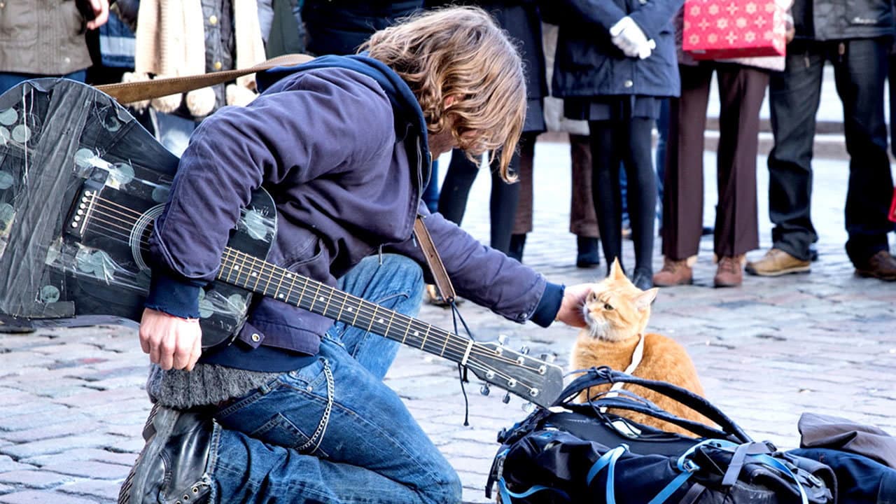 A Street Cat Named Bob — backdrops 8