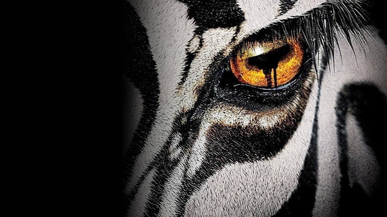 Zoo — backdrops 6